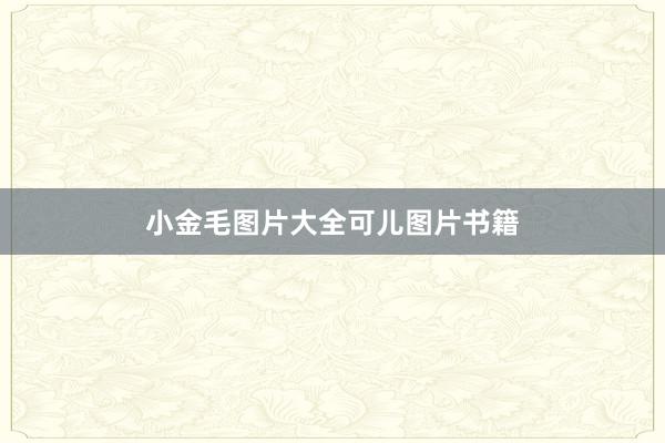 小金毛图片大全可儿图片书籍
