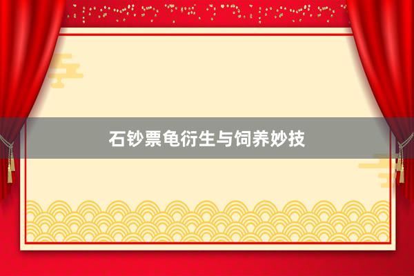 石钞票龟衍生与饲养妙技