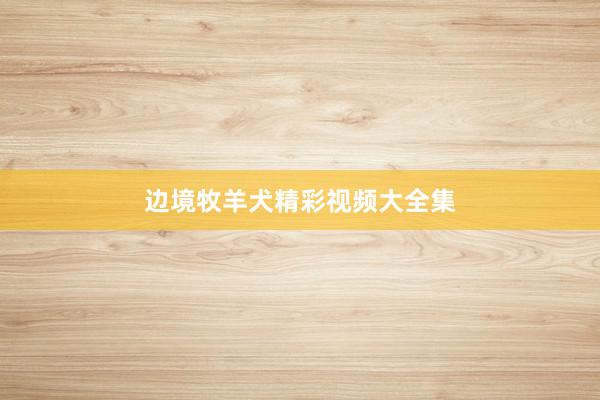 边境牧羊犬精彩视频大全集