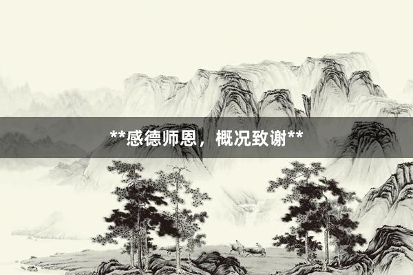 **感德师恩，概况致谢**