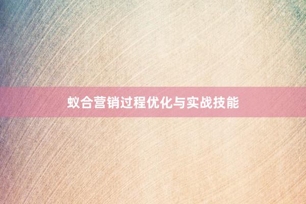 蚁合营销过程优化与实战技能